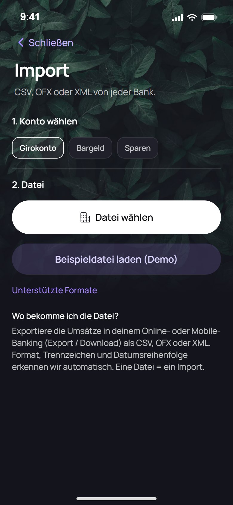 Kontoauszug importieren, ohne Bank-Login